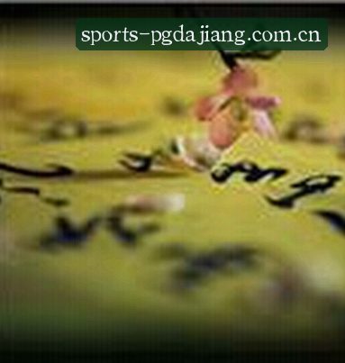 张磊